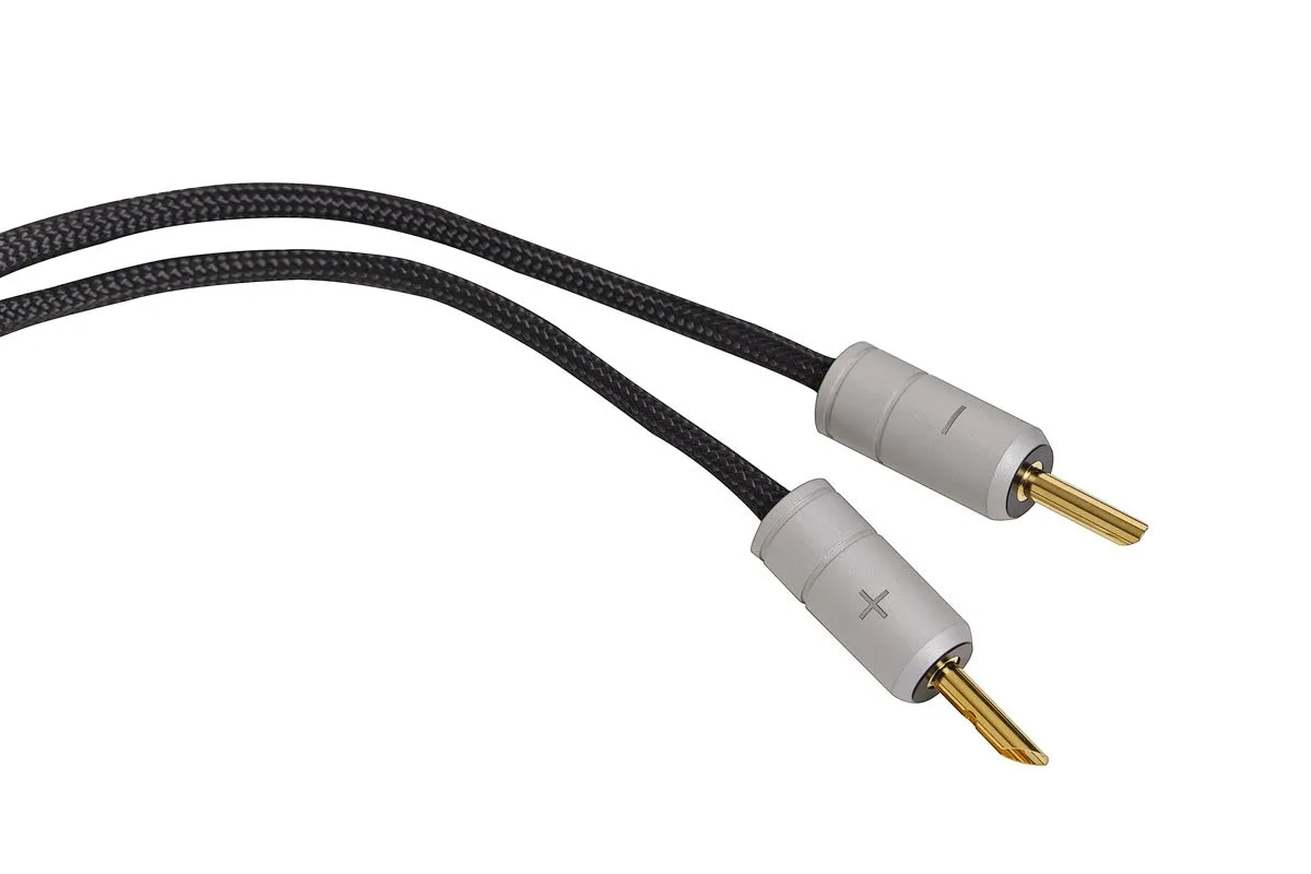 Musica Speaker Link banana