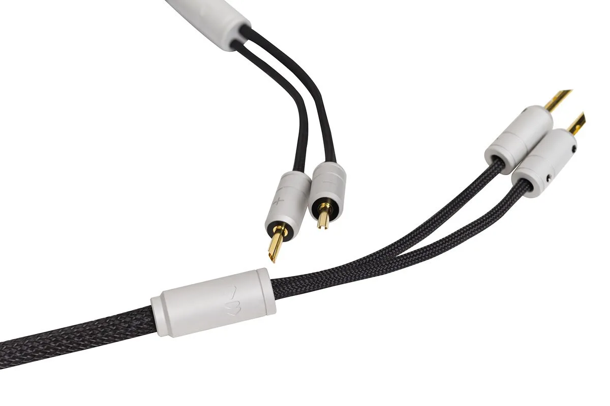 Musica Speaker Link splitter