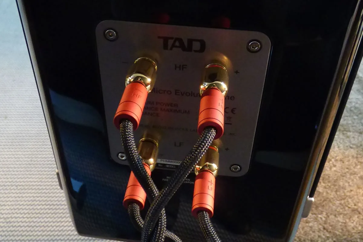 Speaker reference two with TAD speaker